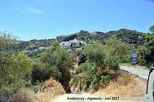 633- Algatocin